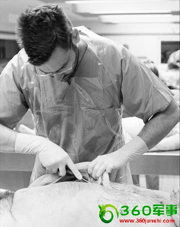 ʵ�ķ�ҽ����ʬ����ʵ����